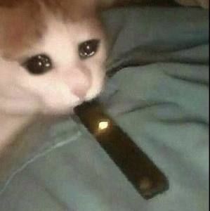 Meet your Posher, Vinny